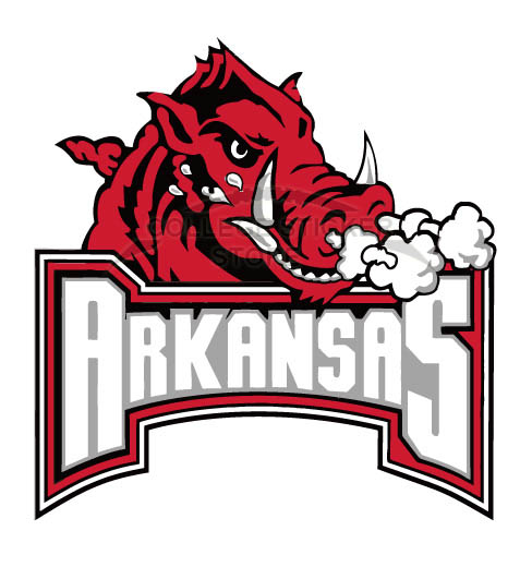 Customs Arkansas Razorbacks 2001 Pres Primary Logo Iron-on Transfers (Wall Stickers) N3748